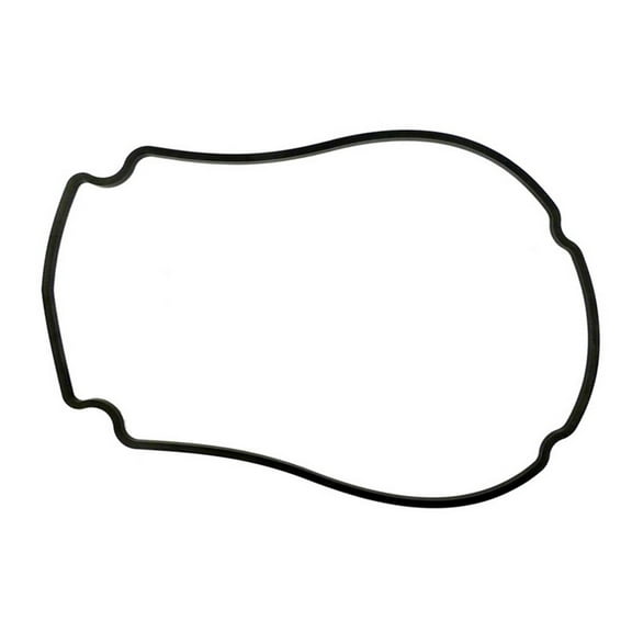 Waterway WW8061400 Pump Faceplate Gasket