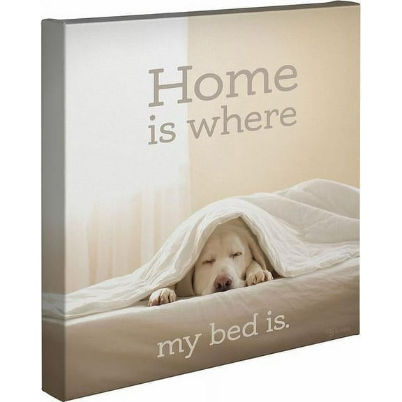 Home Is Where My Bed Is