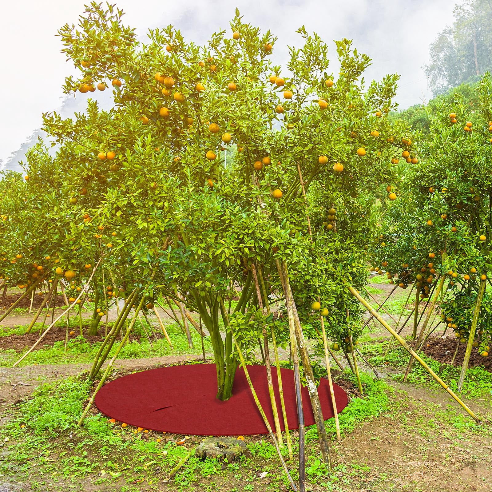 16 Pcs 32. 2 Inch Non Woven Tree Mulch Ring Round Tree Weed Barrier Mat Reusable Landscape Protector Base Barrier Fabric for Weed Root Protection