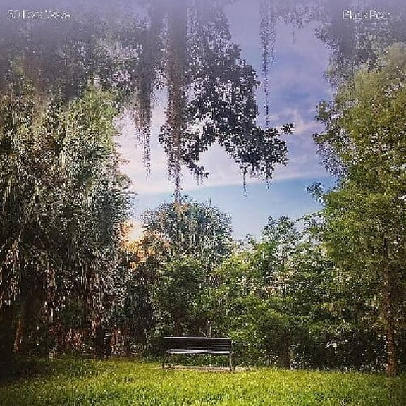 50 Foot Wave - Black Pearl - Music & Performance - CD