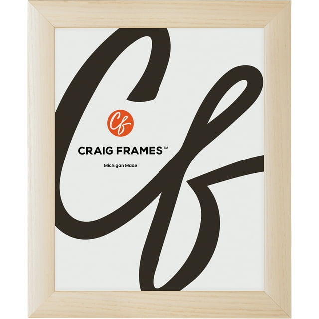 Craig Frames Contemporary, 17x22 Picture Frame, Natural