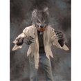 thumbnail image 1 of Costume de Chemise Monstre Poilu, 1 of 1
