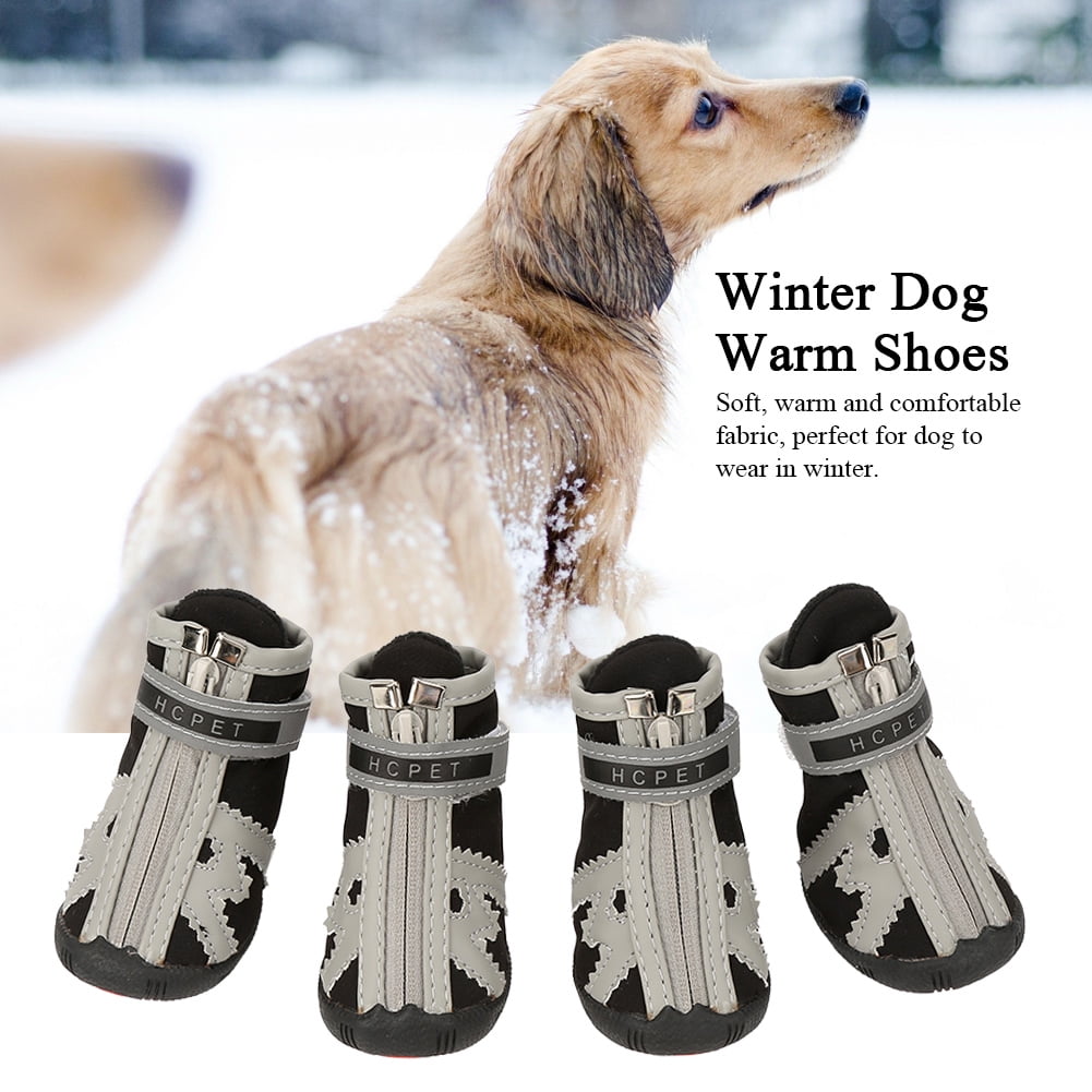 big dog snow boots