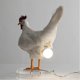 thumbnail image 1 of Chicken Led Lamp Egg Night Lamp Taxidermy Egg Desk Lamp, 1 of 5