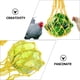 thumbnail image 2 of Comedero para gallinas, repollo, verduras colgantes, brochetas de fruta, bolsa de red, comedero, 2 of 6