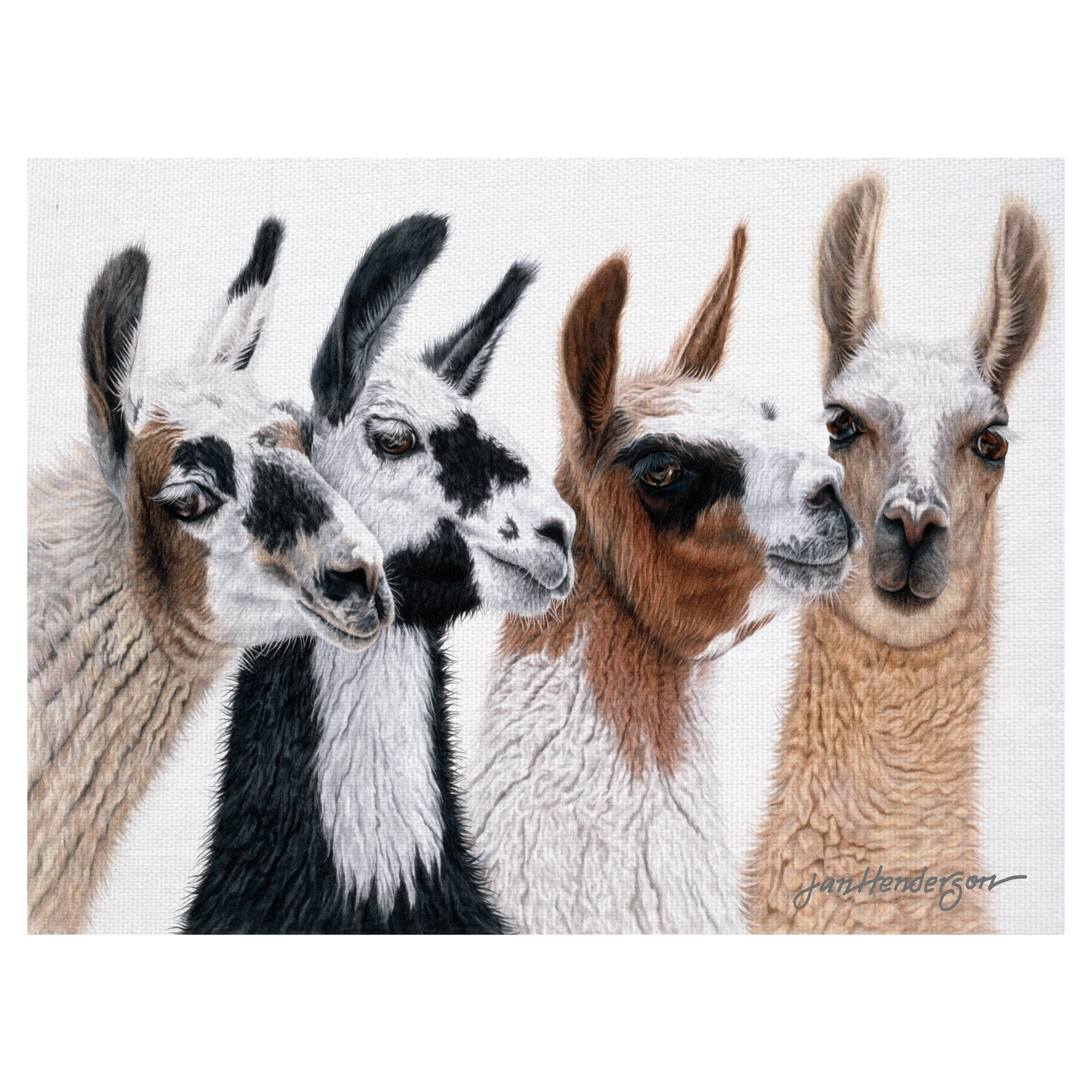 Masterpiece Art Gallery Peruvian Visitors Llamas By Jan Henderson