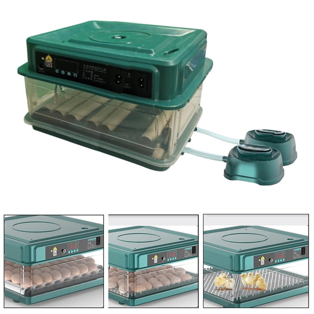 de huevos Pantalla LED automática con automático de huevos y adición de agua con de aves de corral ligera para , pollo, 12 huevos Fernando Incubadora automática de huevos
