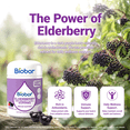thumbnail image 4 of Biobor 150mg Elderberry Gummies with Vitamin C & Zinc, Daily Immune Support for Adults, Non-GMO, 4 of 8