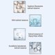 thumbnail image 4 of 2025 Psoriasis Shampoo Coal Tar Lotion Shampoo For Seborrheic Dermatitis Hair Care, 4 of 5
