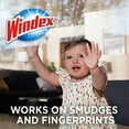 thumbnail image 6 of Windex Original Glass Cleaner Refill, 67.6 Fl Oz Pack of 2, 6 of 8