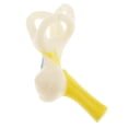 thumbnail image 4 of Esquirla Magnification 5X Human Ear Semicircular Canal Cochlear Model - Students Aids,, 4 of 6