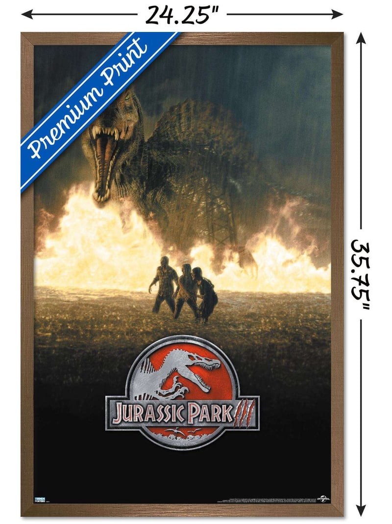 Jurassic Park 3 - Run Wall Poster, 22.375