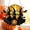 Black, variant on Clearance Under $1! 1PC Double-Sided Acrylic Witch Pendant, Vivid Halloween Hanging Ornament for Porch & Window, Acrylic, (One Size, Black)
