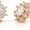Rose, variant on .925 Sterling Silver Gold Plated Micro Pave Starburst Stud Earrings, Giorgio Bergamo Gold