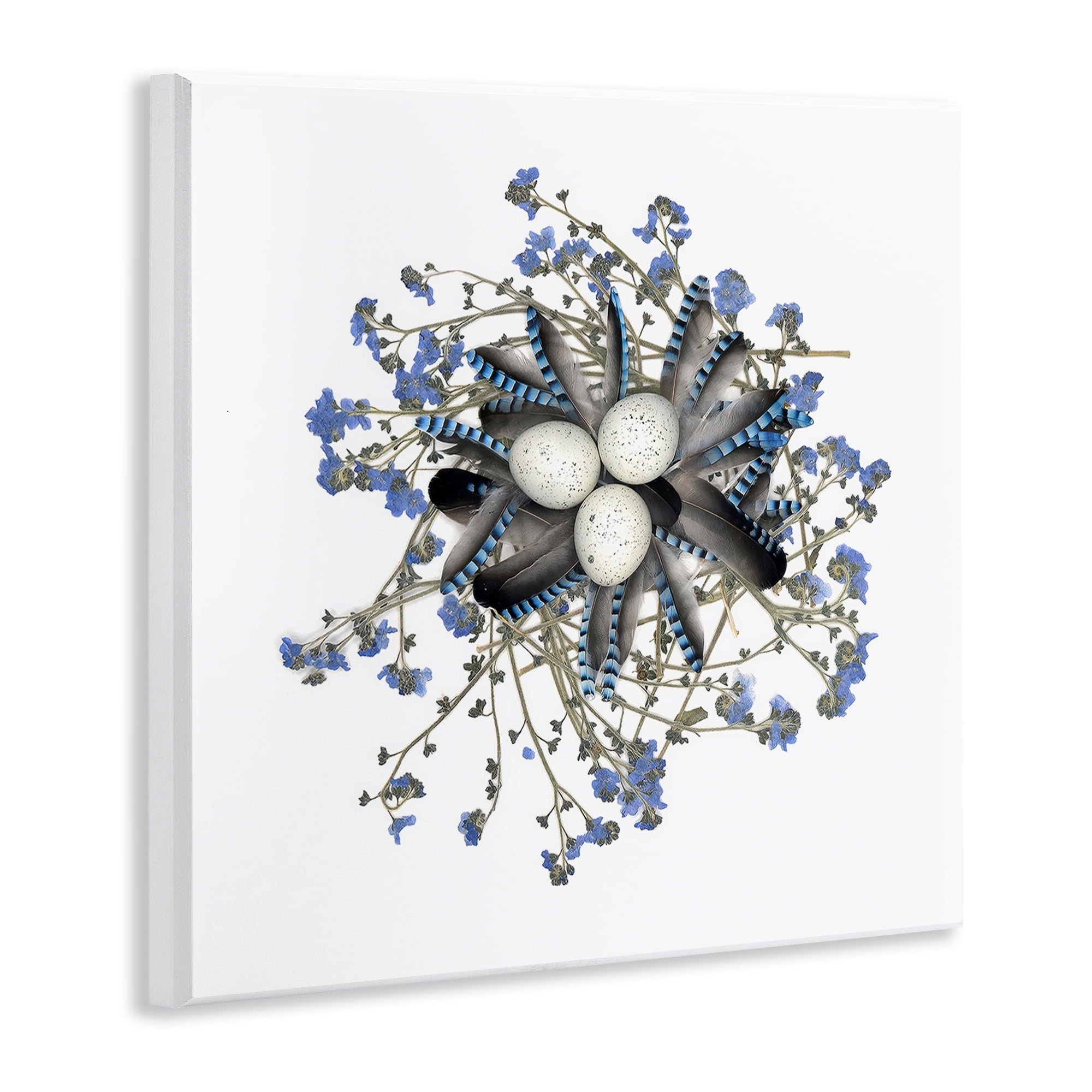 Stupell Industries Feathered Nest & Blue Florals Wall Plaque Art, design by Beth Adoette