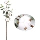 thumbnail image 4 of Ramo artificial de tallos de algodón | 4 Cabezas y Hojas Naturales | Rayon artesanal de 21" | Arreglo floral de decoración del hogar de granja | Manualidades de guirnaldas caseras, 4 of 9