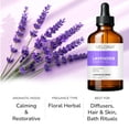 thumbnail image 2 of Lavender Essential Oil by Velona - 16 oz | Therapeutic Grade for Aromatherapy Diffuser, 2 of 5