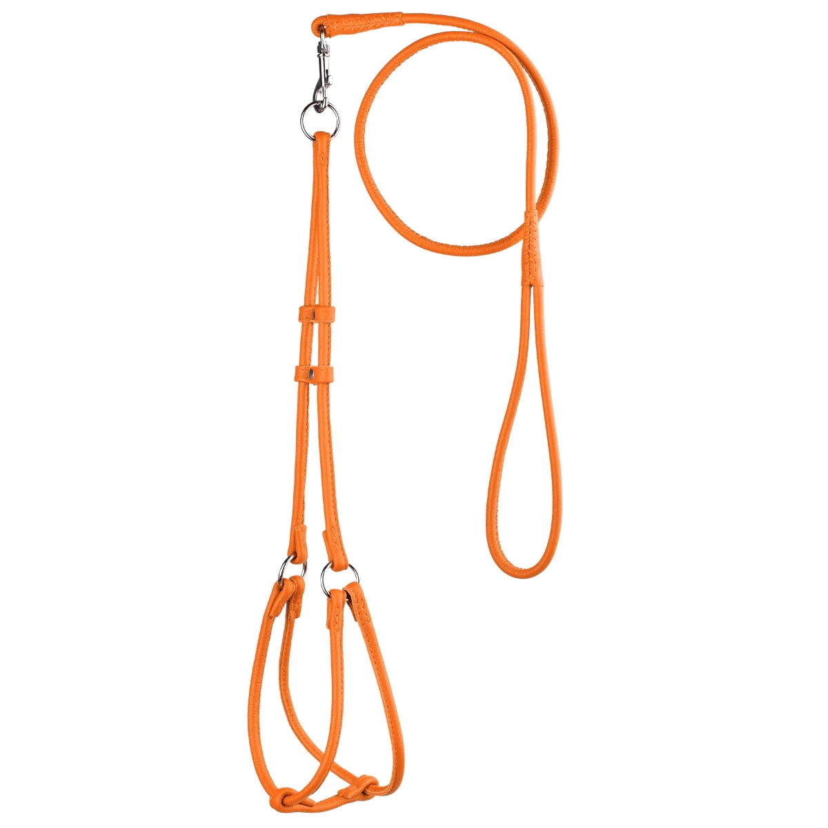 Elevate Your Pet's Style: Soft Leather Round Step-In Harness + Round Lead Combo