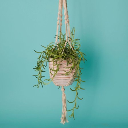 Macrame Terracotta Pot Hanging Set
