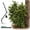 1pc hunting pack, variant on Hunting Concealment Branch Stand, Camouflage Branch Screening Holder with Realistic Oak Leaf Foliage, Tree Stand Blind Cover Camo Screen, Fast Setup Ground Tree Mount for Deer Turkey Hunting
