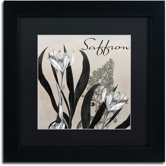 Trademark Fine Art "Flowering Herbs I" Canvas Art by Color Bakery Black Matte, Black Frame