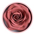 thumbnail image 1 of ZHAGHMIN Rose 3D Petal Face Powder - Buildable Blush for Cheeks,Durable Light Color Makeup for Women,Party & Evening Look, 1 of 9