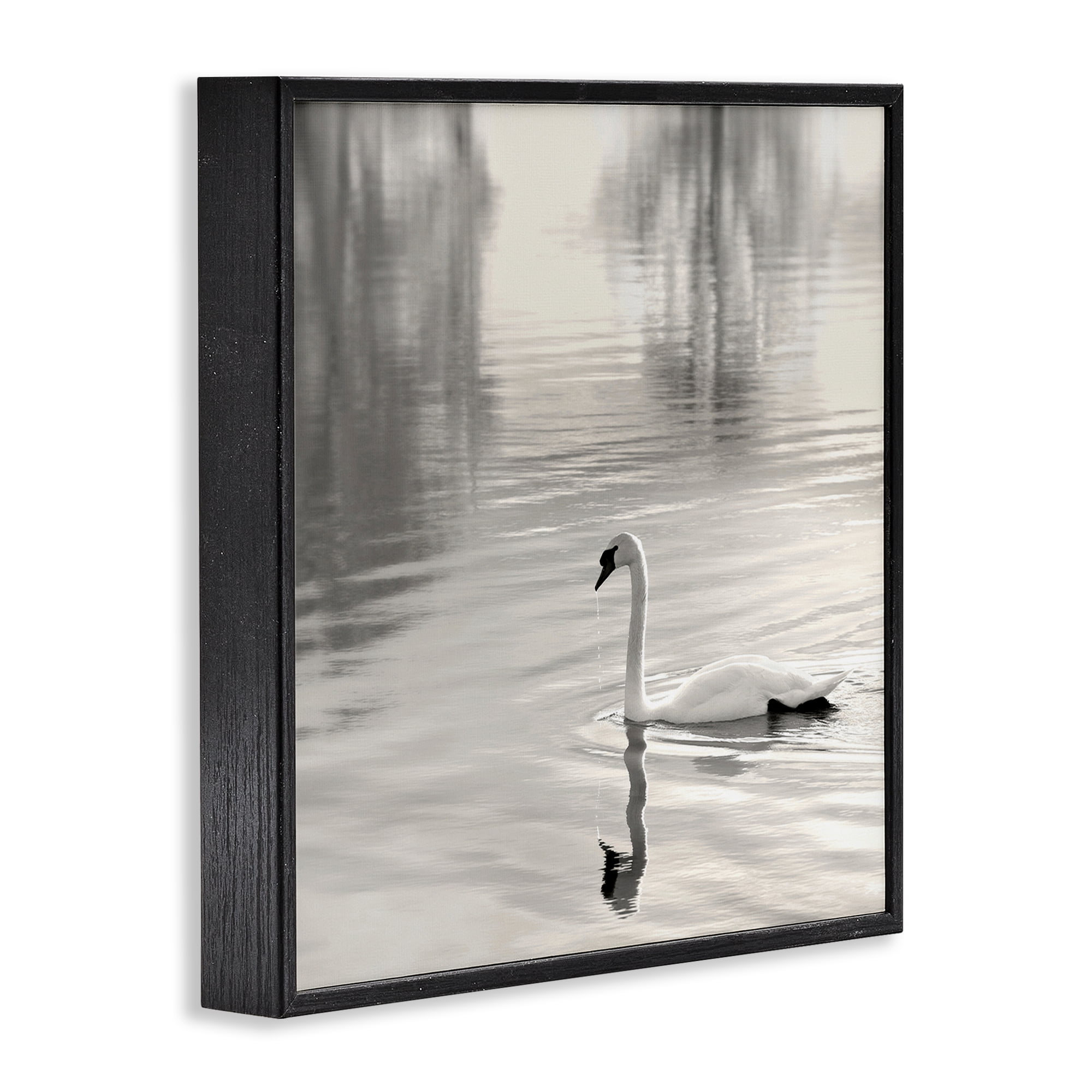 Stupell Industries Morning Sunlit Swan Black Framed Giclee Art, design by Nicholas Bell