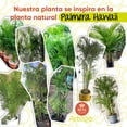 thumbnail image 4 of Planta artificial decorativa moderna Artego Palmera Hawaii 130cm, 4 of 9