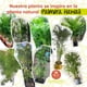 thumbnail image 4 of Planta artificial decorativa moderna Artego Palmera Hawaii 130cm, 4 of 9