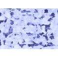 thumbnail image 1 of Ahgly Company Machine Washable Indoor Rectangle Abstract Blue Modern Area Rugs, 2' x 5', 1 of 4