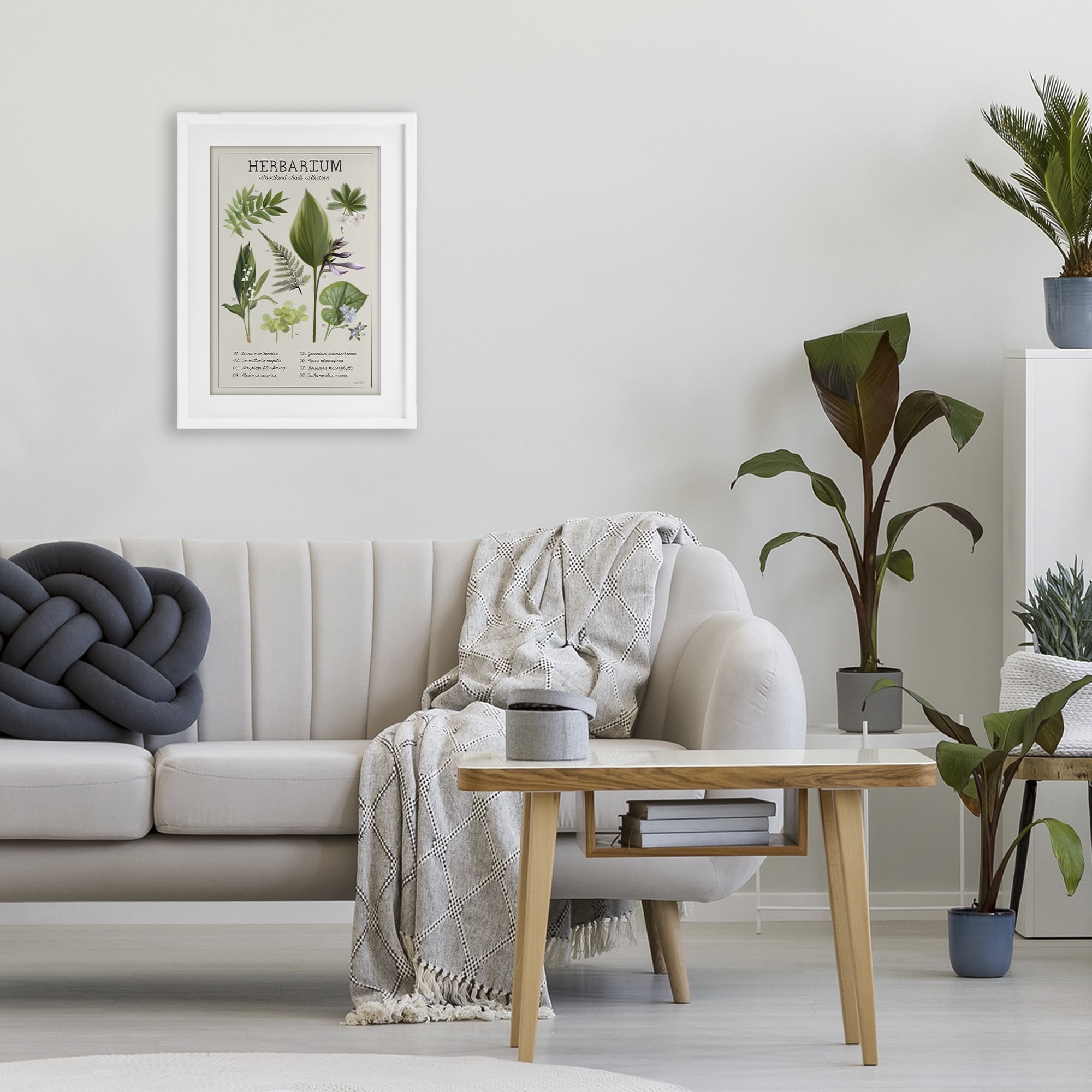 Stupell Industries Herbarium Woodland Shade Collection White Framed Print Under Glass, design by House Fenway