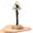 White, variant on Artificial Coral Aquarium Decoration, Simulation Coral Tree Resin Ornament for Small Fish Tank, Safe Non-Toxic Colorful Reef Decor for Shrimp Hiding(5.9Inch,White)