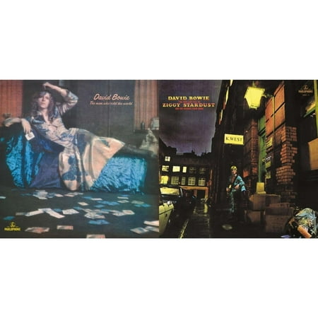 Man Who Sold The World (2015 Remaster) & Rise & Fall Of Ziggy Stardust (2012 Remaster) [LP Vinyl Bundle]
