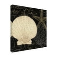 thumbnail image 2 of Trademark Fine Art 'Coastal Moonlight II' Canvas Art by Pela Studio, 2 of 3