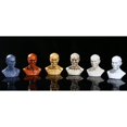 thumbnail image 4 of 4" Human Model Anatomy Skull Head Muscle Bone for Drawing School Drawing White#2, 4 of 8