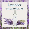 thumbnail image 2 of Eau de Toilette Provence Sante con aroma a lavanda, 100 ml, 2 of 7