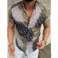 thumbnail image 4 of Nuevas camisas a cuadros para hombre, camisas casuales de verano con estampado 3D, camisas de playa hawaianas, camisas de manga corta con solapa, blusas de calle, ropa para hombres y mujeres, 4 of 5