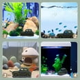 thumbnail image 1 of WEUVEB Casita Ornamental En Resina Para Camarones Con Acabado Duradero Y Para Acuarios, 1 of 8