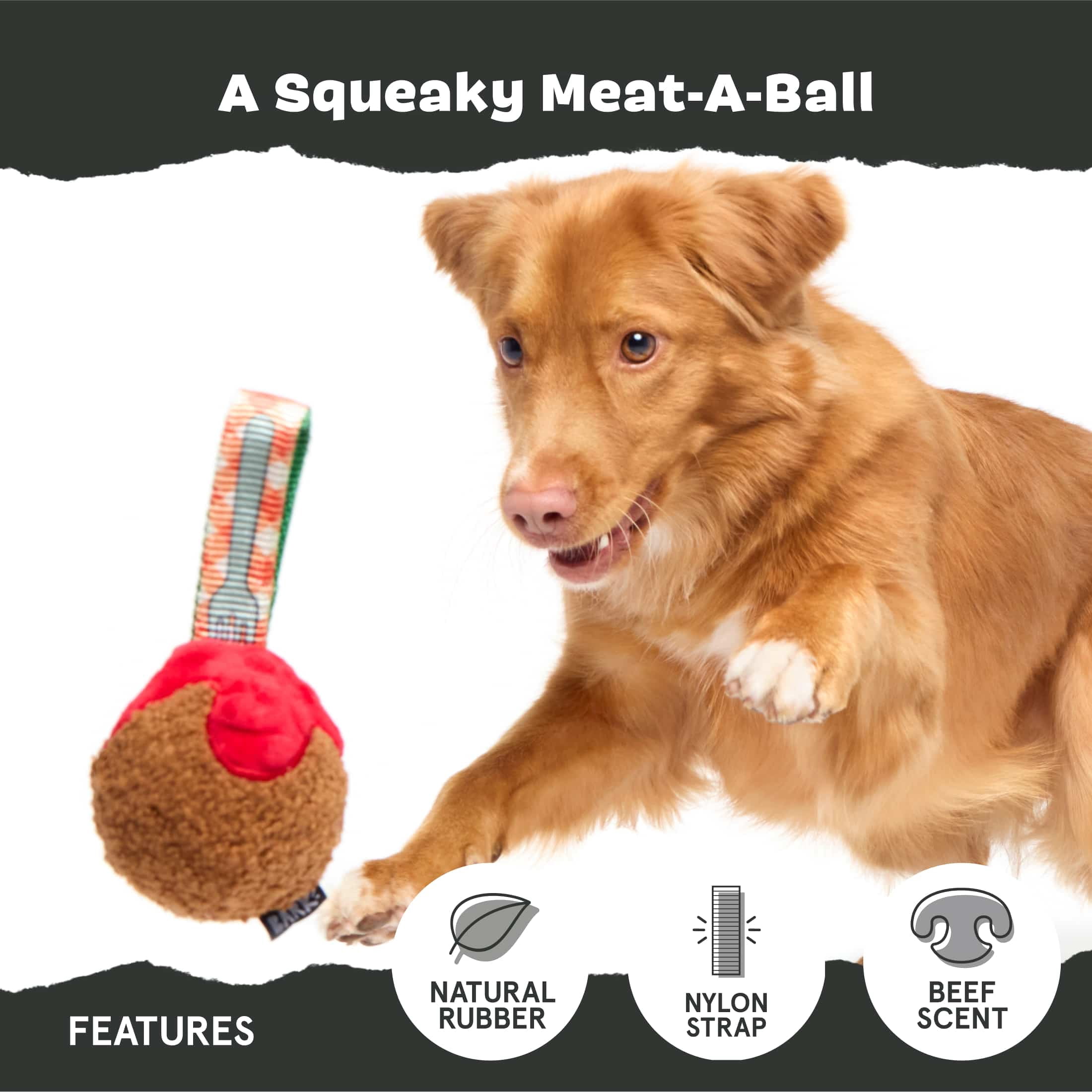 BARK A Squeaky Meatball Dog Toy for Active Pups
