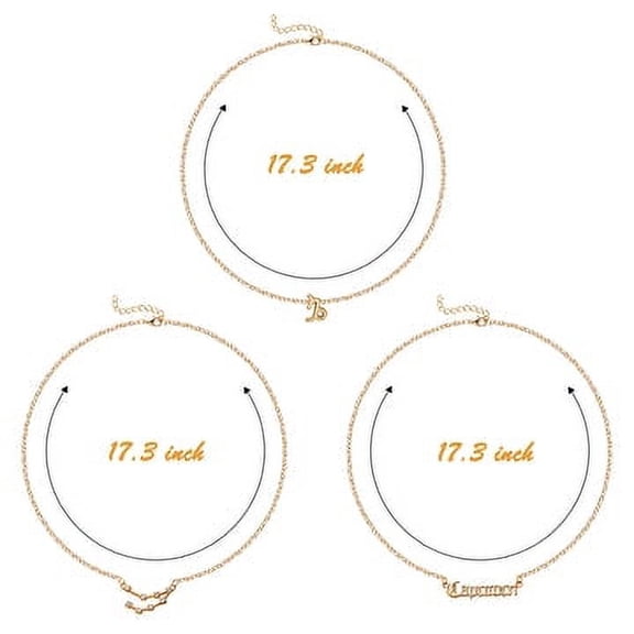 Capricorn Zodiac Layer Necklaces for Women，3Pcs