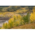 thumbnail image 2 of Jaynes Gallery 24x17 Gold Ornate Wood Framed with Double Matting Museum Art Print Titled - USA-Colorado-Uncompahgre National Forest Mountain aspens in autumn color, 2 of 4