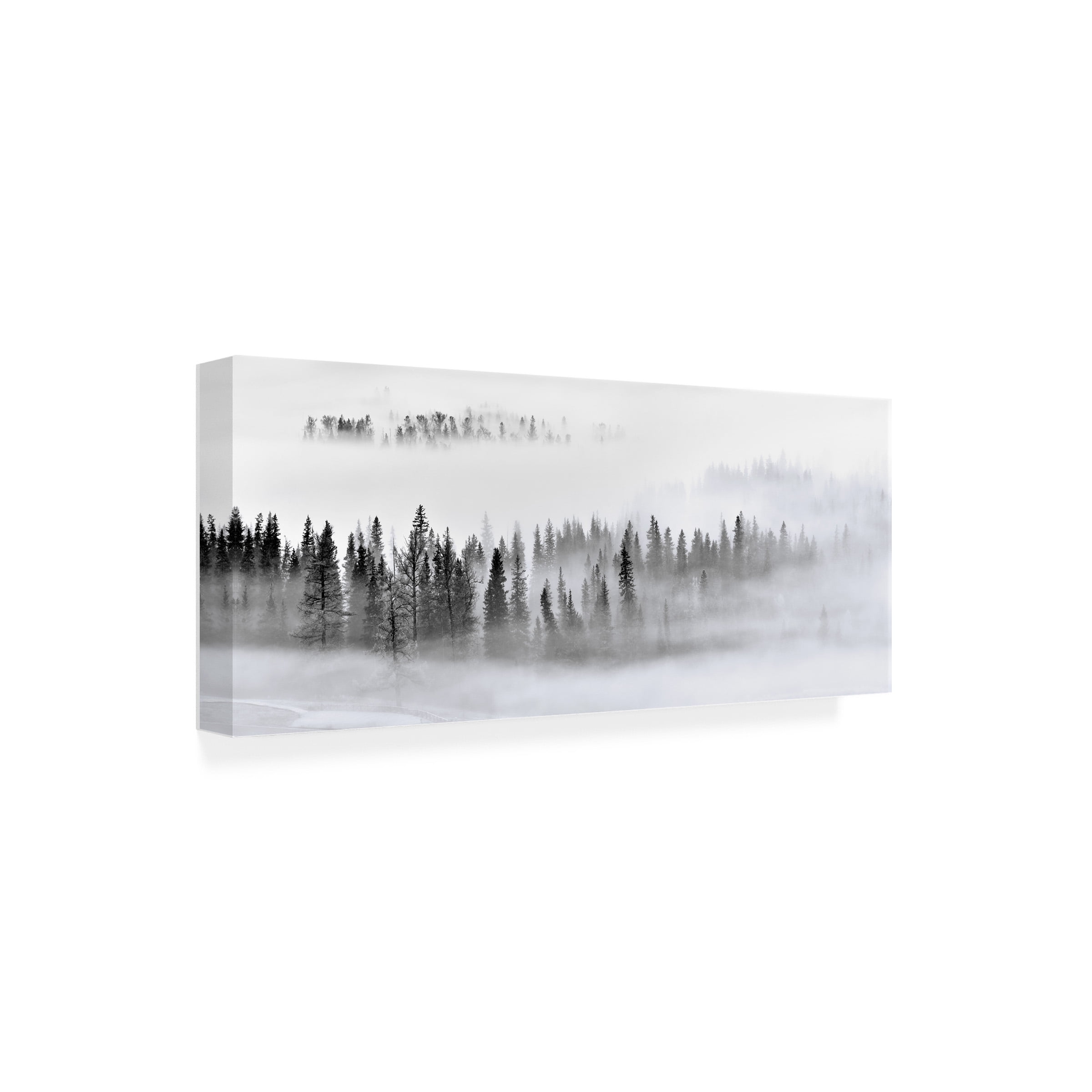 Mei Xu 'Foggy Forest' Canvas Art