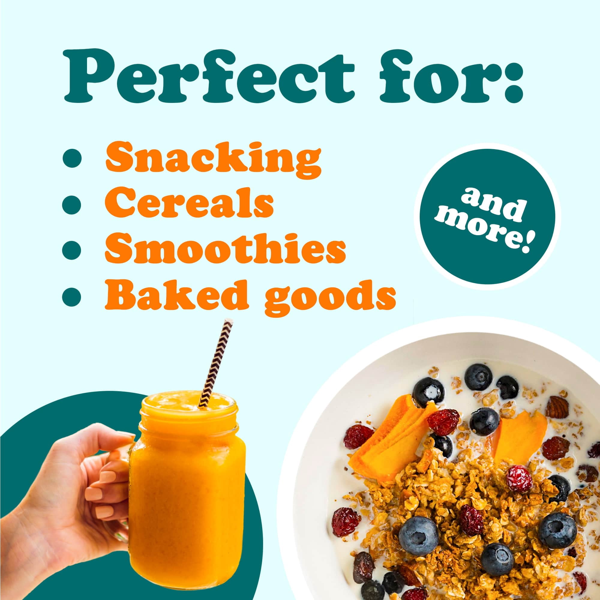 Dried Mango Cheeks, 3 Pounds – Unsweetened, Unsulfured, Preservative-Free. Naturally Gluten-Free.