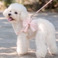 thumbnail image 4 of Cute Bow Cats & Dogs Harness And Leash Set,Escape Proof Adjustable Sweet Lace Gradient Bowknot Pet Vest Harness For Kitten Small Dog Walking Outdoor,M, 4 of 5