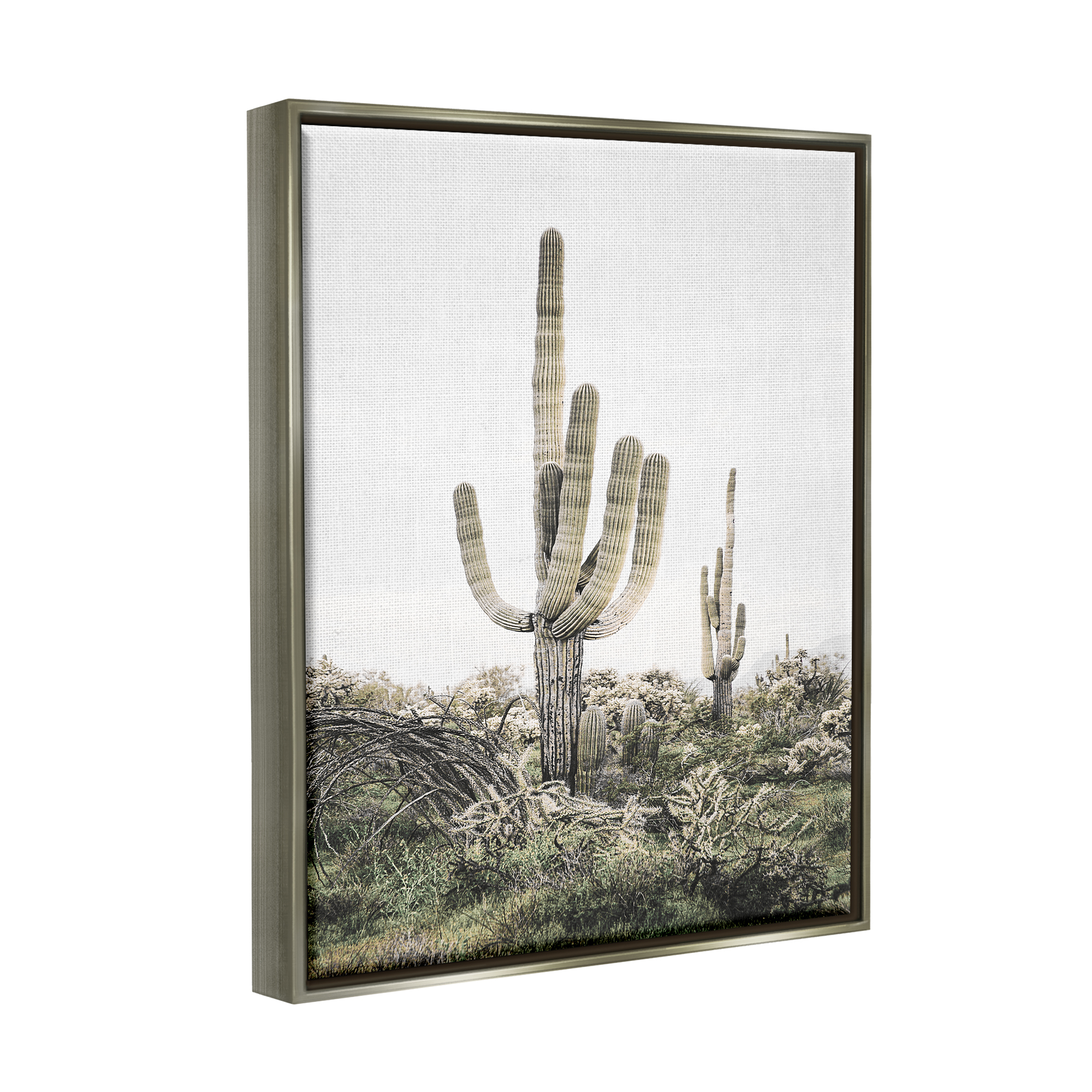 Stupell Industries Desert Landscape Cacti Botanical & Floral Photography Gray Floater Framed Art Print Wall Art, 25 x 31