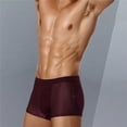 thumbnail image 4 of Bóxer de seda de hielo para hombre, ropa interior de malla, transpirable, deportiva, talla grande, 2023, 4 of 4