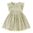 thumbnail image 2 of LYMAYTER Toddler Baby Girls Elegant Lace Pom Pom Dress Infant Sleeveless Swing Birthday Party Princess Gowns Dresses for 6M-6T, 2 of 11