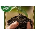 thumbnail image 4 of Shrub and Tree Drench 16oz, 4 of 5