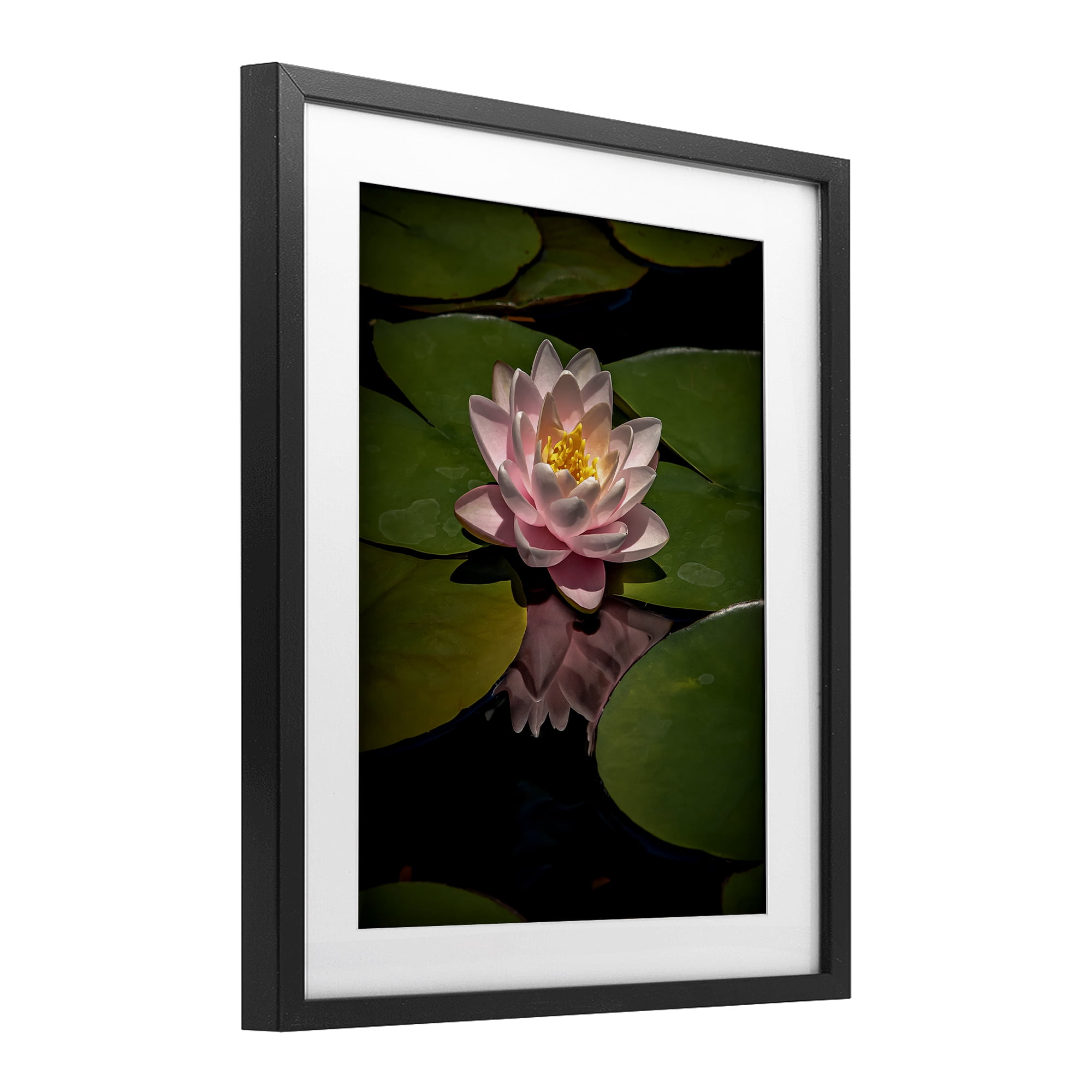 Pink Lotus Among Lily Pads Black Framed Print Under Glass, design by Phillip Flowers