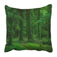 thumbnail image 1 of BSDHOME Green forest Pillowcase Throw Pillow Cover Case 20x20 inches, 1 of 2